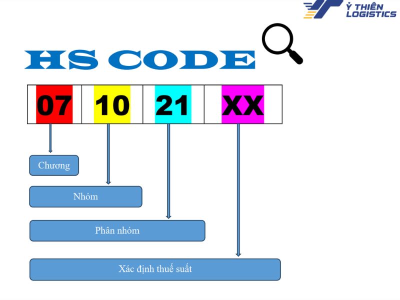 HS Code là gì